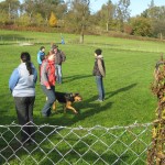 Pruefungstag 19-10-2013 [006]